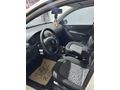 Binicisine tertemiz Fabia