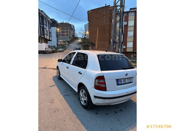 Binicisine tertemiz Fabia