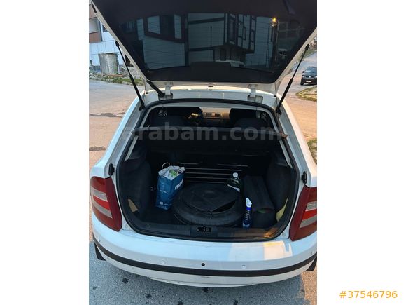 Binicisine tertemiz Fabia