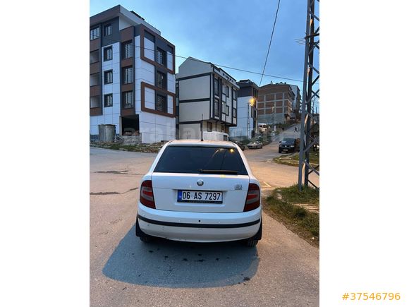 Binicisine tertemiz Fabia