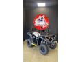 HAMMER PROO ATV ( TRACT 250 )  9 TAKSİT İMKANI !!
