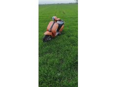 Sahibinden Kuba Blueberry