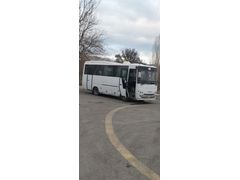 2009 ROOYBUS C    ri