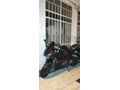 Sahibinden RKS SRK125-R