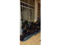 Sahibinden RKS SRK125-R