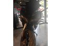 Sahibinden Voge 250 RR 