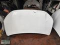 Ford Tourneo kaput