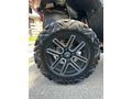 Sahibinden ATV & UTV Segway Snarler AT6L X 570