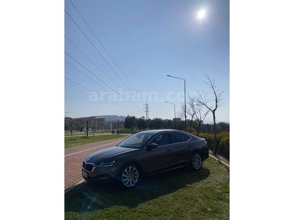 Sahibinden Skoda Octavia 1.0 e-Tec Premium 2020 Model 