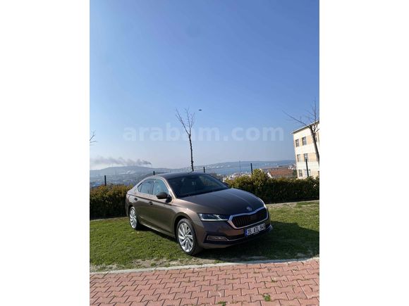 Sahibinden Skoda Octavia 1.0 e-Tec Premium 2020 Model 