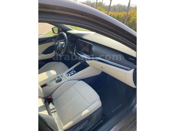Sahibinden Skoda Octavia 1.0 e-Tec Premium 2020 Model 