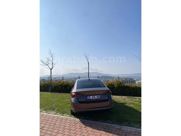 Sahibinden Skoda Octavia 1.0 e-Tec Premium 2020 Model 