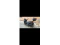 Sahibinden Yamaha X-Max 250 Tech Max Nevşehir