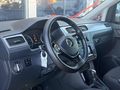 MOTORLU AUTO DAN CADDY