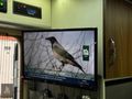 MY PLAZA - ÖZEL YAPIM LÜKS KARAVAN EN FULL VE KALİTELİ DONANIMDA
