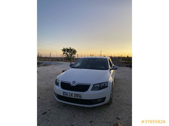 Sahibinden Skoda Octavia 1.6 TDI Elegance 2014 Model  192.000 km Bej