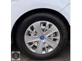 TRADE MOTORS & FORD