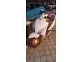 Sahibinden araba takaslı TVS Jupiter 125 Turgutlu