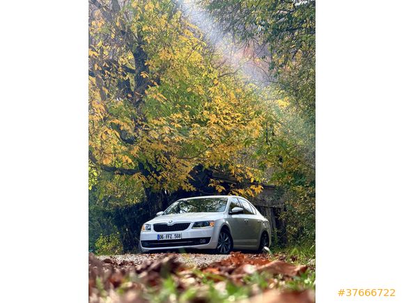 Sahibinden Skoda Octavia 1.6 TDI Elegance CR 2014 Model 