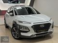 ER MOTORS 2019 HYUNDAİ KONA 1.6CRDİ ELİTE SMART OTOMATİK BOYASIZ