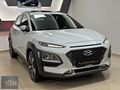 ER MOTORS 2019 HYUNDAİ KONA 1.6CRDİ ELİTE SMART OTOMATİK BOYASIZ