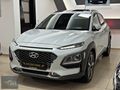 ER MOTORS 2019 HYUNDAİ KONA 1.6CRDİ ELİTE SMART OTOMATİK BOYASIZ