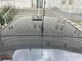 HİRAdan 2014 CAPTUR ICON 1.2 TCe EDC/HATASIZ/OTOMATİK/103 BİN KM