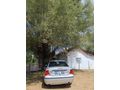 Sahibinden Ford Focus 1.6 Comfort 2004 Model