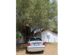 Sahibinden Ford Focus 1.6 Comfort 2004 Model