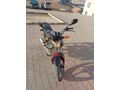 SAHİBİNDEN KÜBA ROZERE 100 ACİL SATILIK