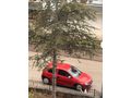Sahibinden Opel Corsa 1.7 DTi Comfort 2003 Model