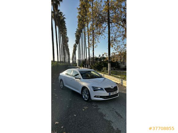 Sahibinden Skoda SuperB 1.6 TDI Style 2015 Model 