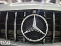 EMY DEN 2015 AMG (TAM DOLU)