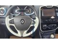 AUTO BY DEN LANSMAN RENK ÖZEL SERİ CLİO