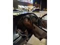 Sahibinden Hyundai Accent 1.5 CRDi Admire 2005 Model