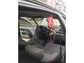 Sahibinden Renault Clio 1.4 Authentique 2005 Model 
