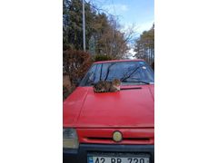 Sahibinden Skoda Favorit 1.3 LX 1994 Model