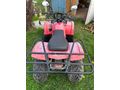 Sahibinden Kanuni ATV 150 S Off Road Tekirdağ