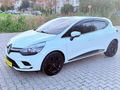 NOKTA HATASIZ BOYASIZ FULL BAKIMLI 2019 CLİO 1.5 DCI JOY MANUEL