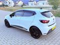 NOKTA HATASIZ BOYASIZ FULL BAKIMLI 2019 CLİO 1.5 DCI JOY MANUEL