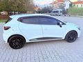 NOKTA HATASIZ BOYASIZ FULL BAKIMLI 2019 CLİO 1.5 DCI JOY MANUEL