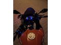Sahibinden Bajaj Pulsar 200 RS 