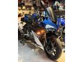 2024 MODEL 550 RS TORK CANAVARI