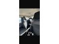Sahibinden Renault Taliant 1.0 Tce Touch 2022 Model  60.000 km Mavi