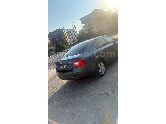 araç Adana'ya opsiyonlanmıştır