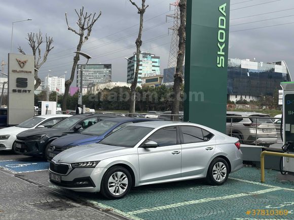 Sahibinden Skoda Octavia 1.0 e-Tec Elite 2024 Model İstanbul