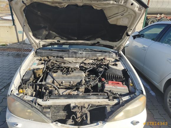Otoyol Canavarı Primera 2.0 Elegance 2000