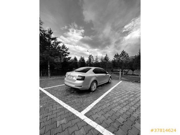 Sahibinden Skoda Octavia 1.6 TDI Elegance CR 2014 Model 
