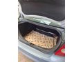 Sahibinden Ford Focus 1.6 TDCi Trend 2008 Model