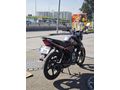 Sahibinden Kuba  acil satılık TK 03